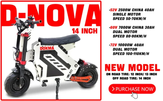 Dokma 13 インチ オンロード タイヤ 52V 2500W 格安価格 OEM 大人用電動スクーター