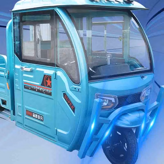 1000W大型電動三輪車