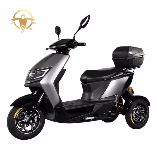 600W ディファレンシャルモーター 60km 3 スポーク電気自動車