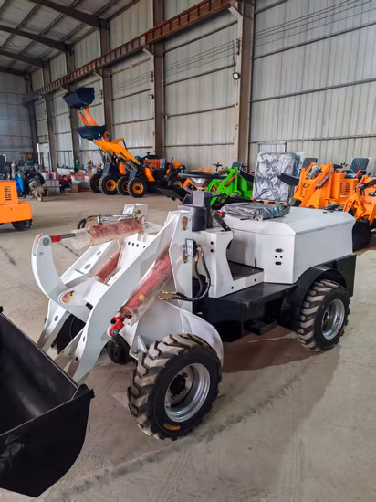 中国供給プロフェッショナル電動三輪車 DLS150 2023 新エネルギー資源承認電気充電器高品質読み込み基本カスタマイズ